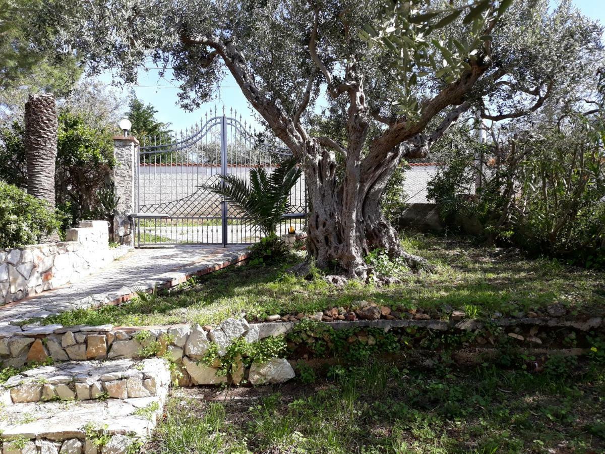 Villa Belvedere Michelle 特拉佩托 外观 照片