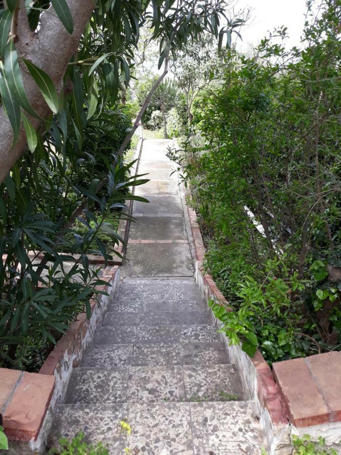 Villa Belvedere Michelle 特拉佩托 外观 照片